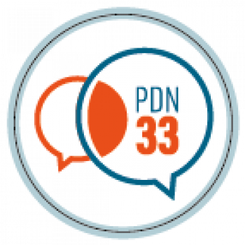 logo PDN33